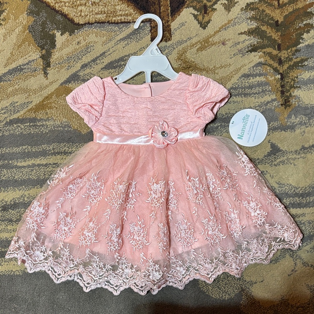 Nannette Blush Pink Baby Dress with Floral Embroidery